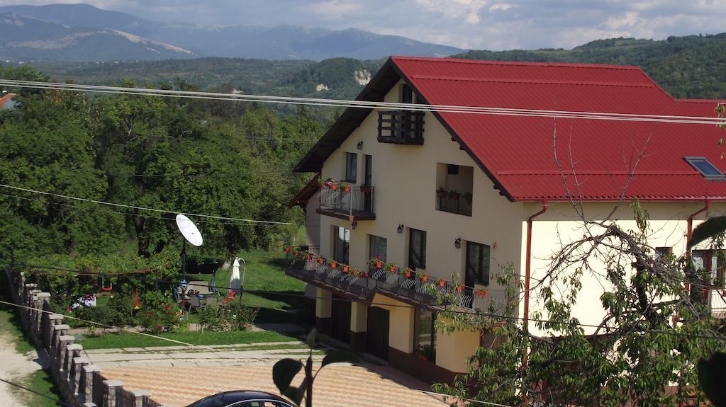 Pensiunea Valea Ursului Câmpulung Zewnętrze zdjęcie